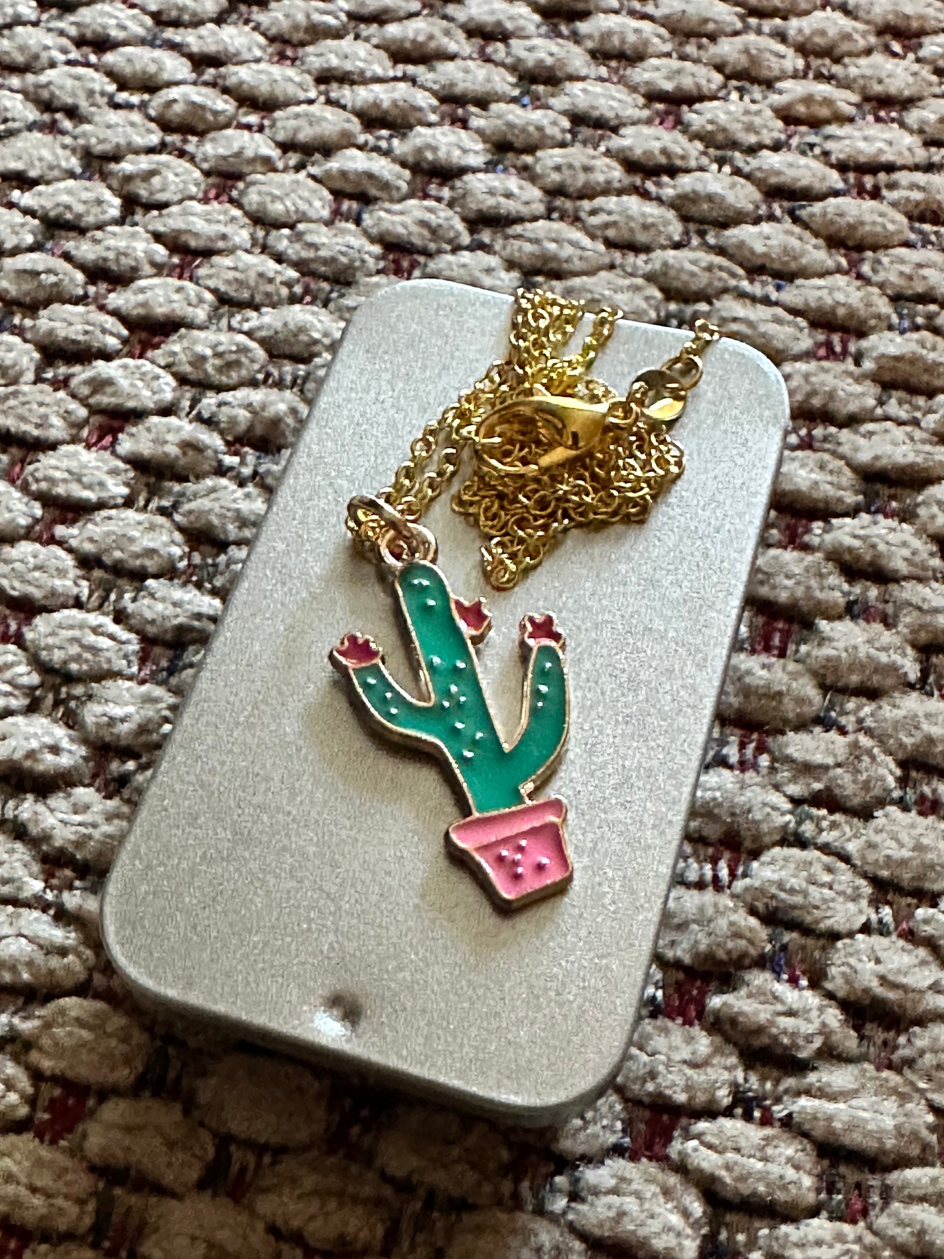 Pink vase cactus