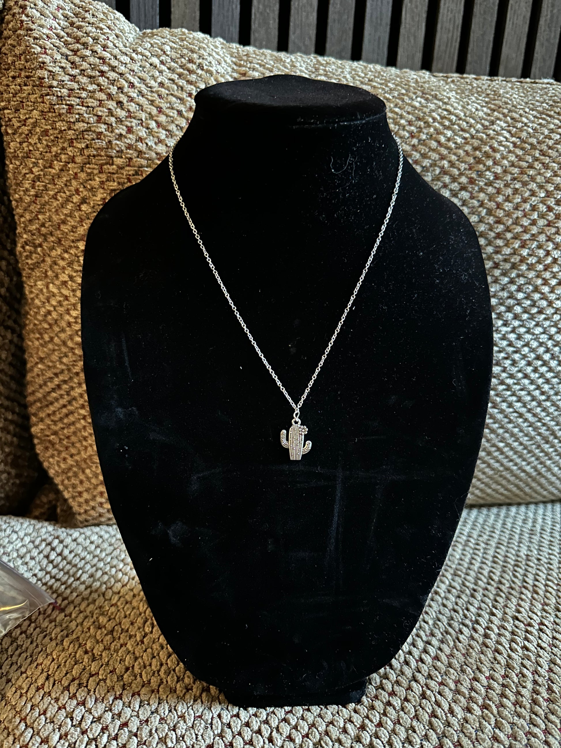 Silver cactus