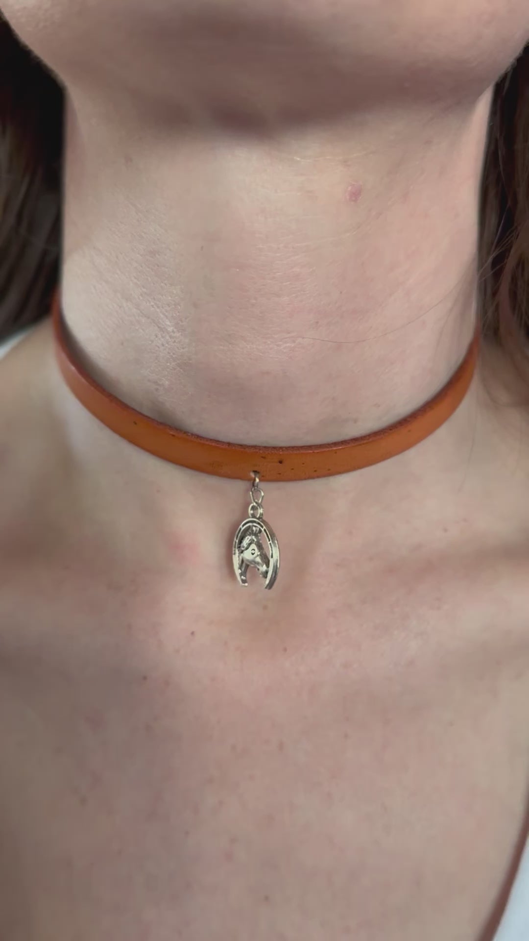 Horse shield choker